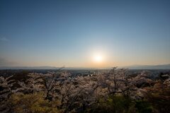 天童公園①