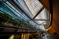 国際フォーラム
