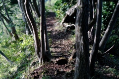 高取山・北尾根①