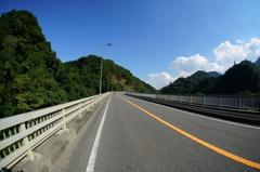 唐沢林道付近