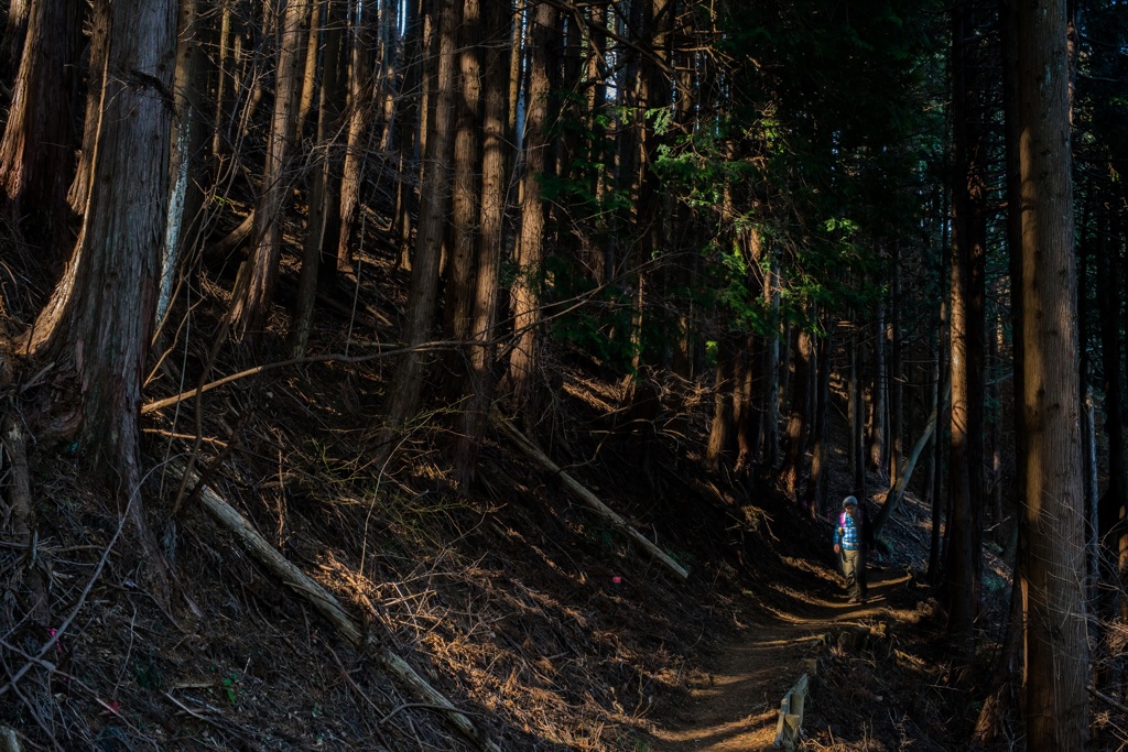 仏果山登山道①