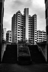 南大沢②