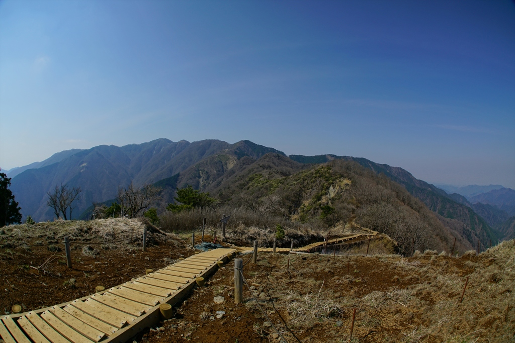 鳥尾山頂より塔ノ岳