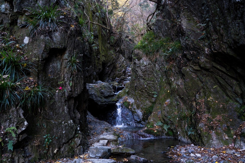 棒ノ嶺登山道～白谷沢②