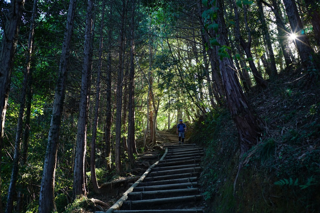 高尾山・稲荷山ルート②