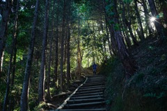 高尾山・稲荷山ルート②