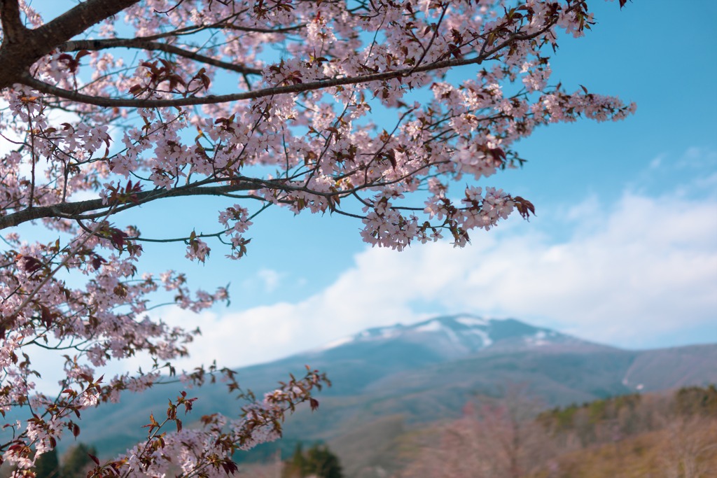 不忘山①
