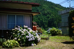 三ツ峠にて④