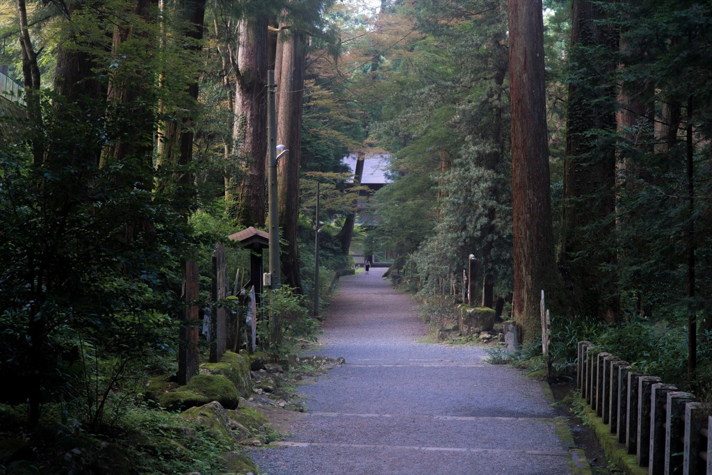 最乗寺・参道