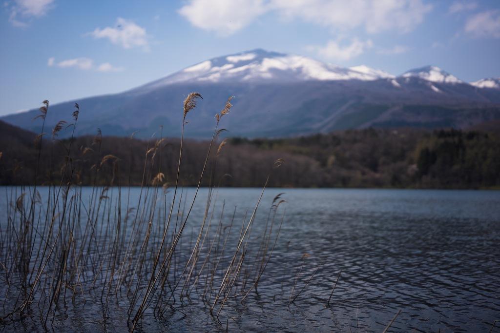 不忘山②
