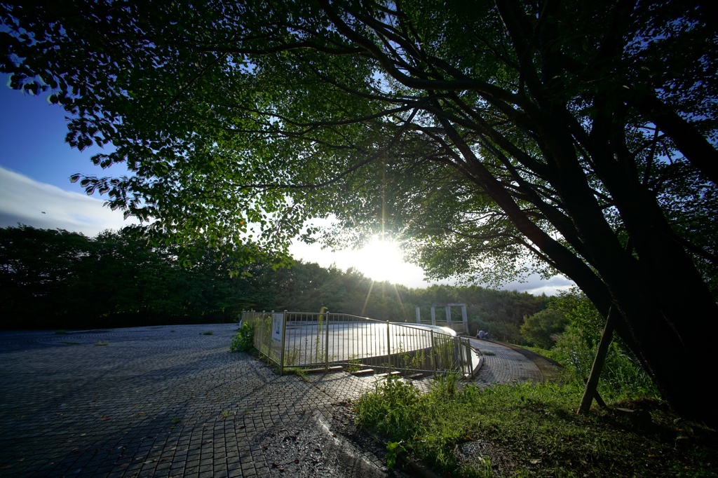 栃谷戸公園①