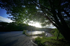 栃谷戸公園①