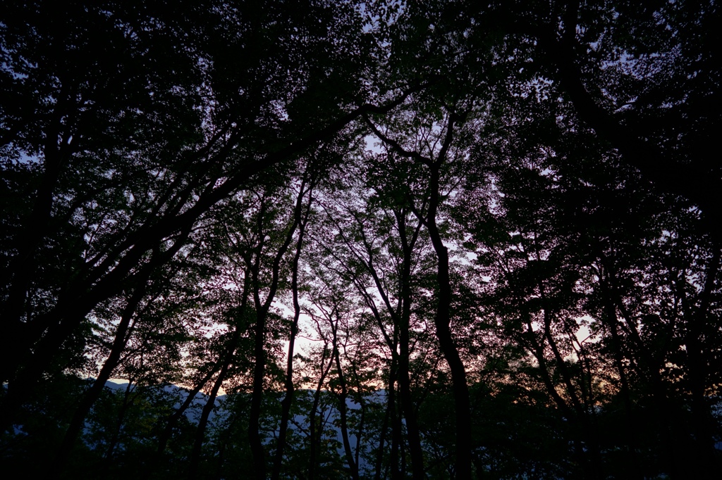 2015.10.8 Batis 2/25⑥