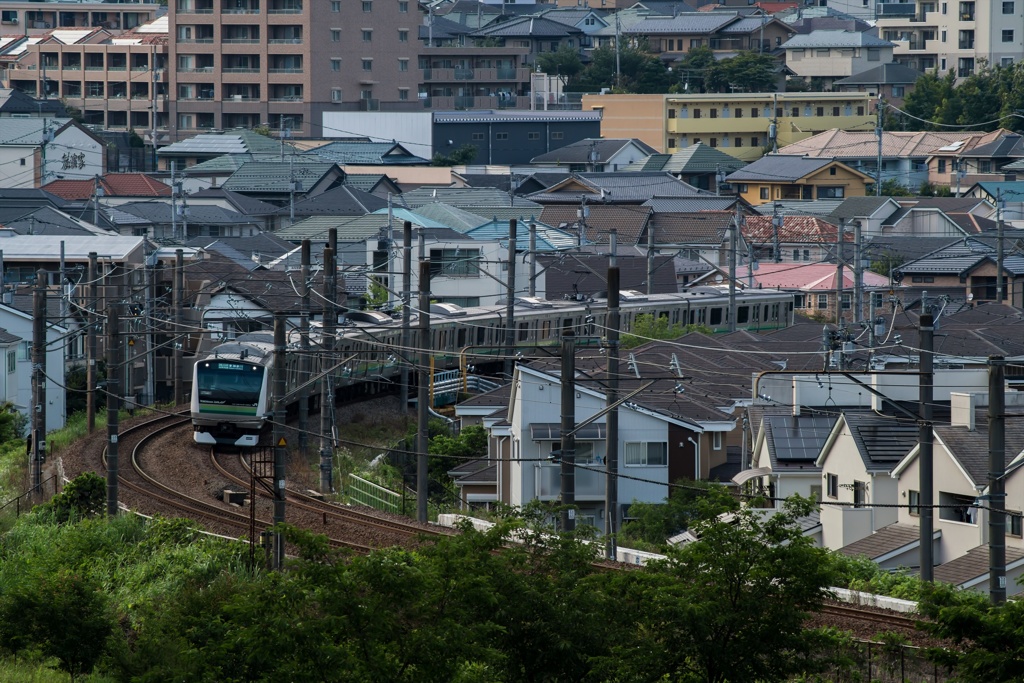 宇津貫緑地①
