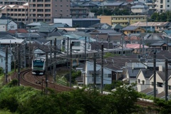 宇津貫緑地①