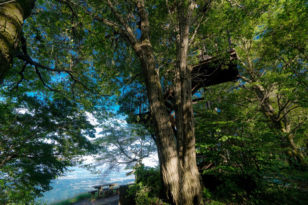 高取山