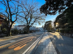 山手本通り