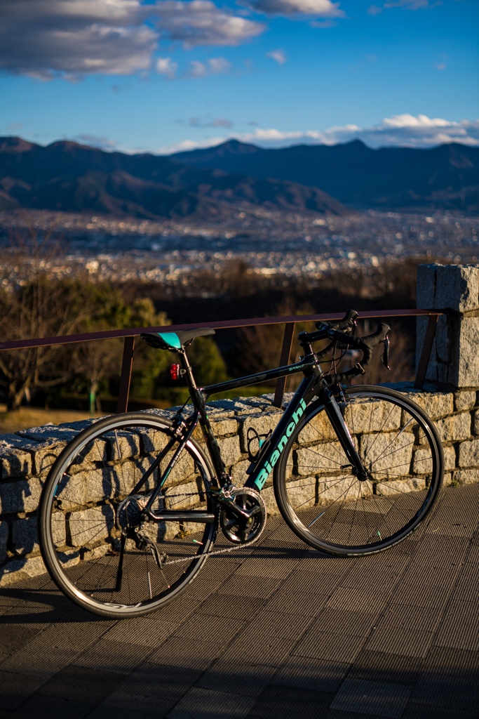 フルーツ公園