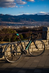 フルーツ公園