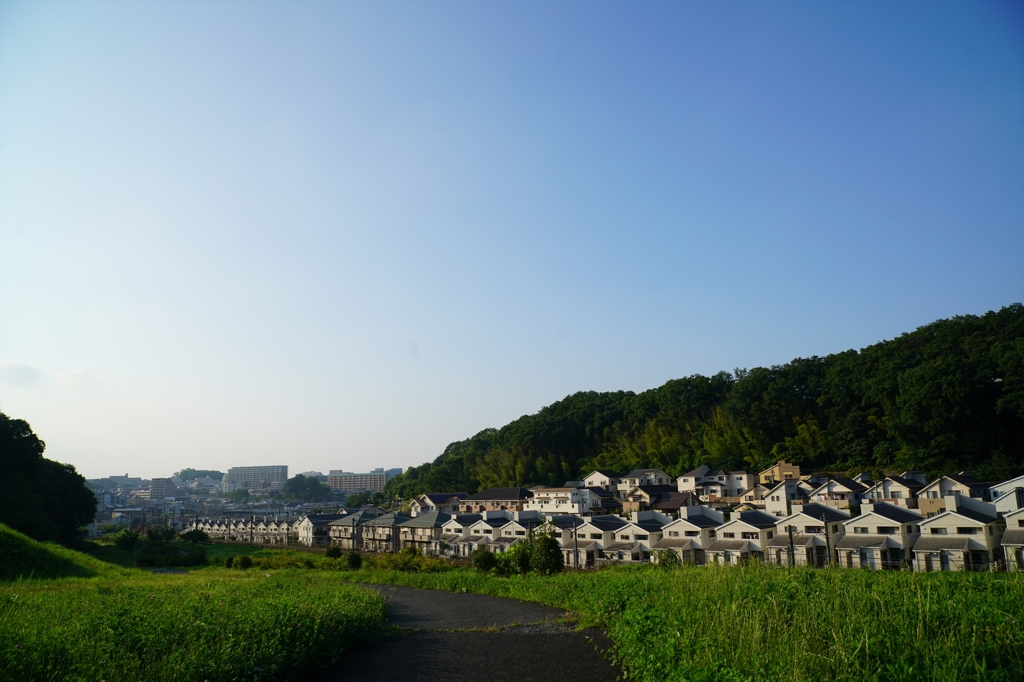 宇津貫緑地④