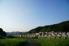 宇津貫緑地④