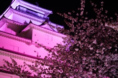 鶴ヶ城①