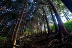高取山登山道②