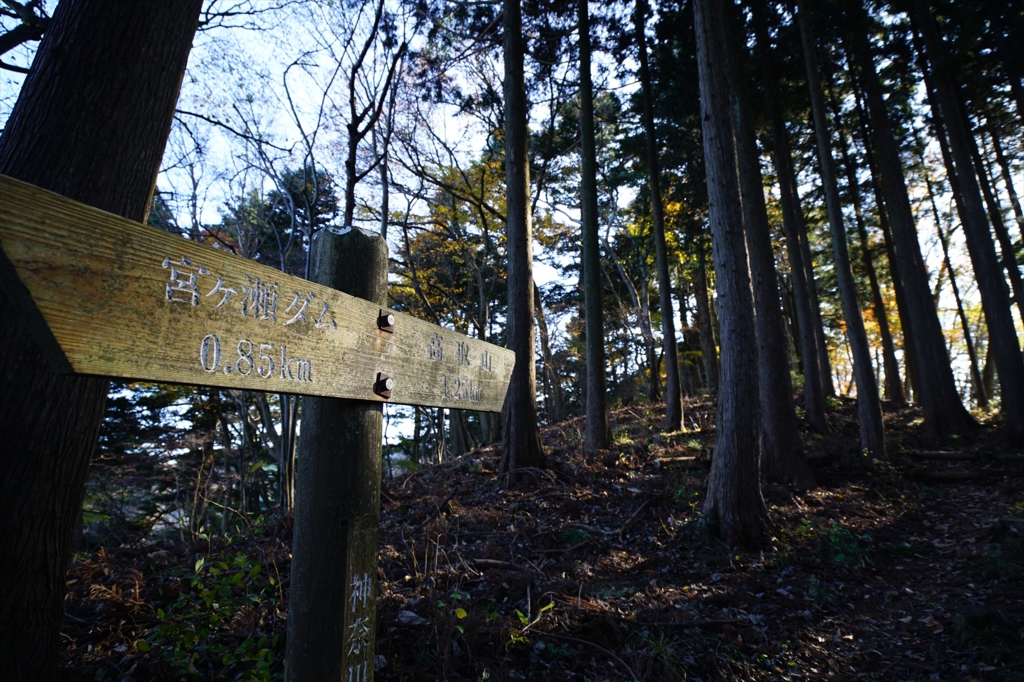 宮ヶ瀬・佐久間尾根登山道①