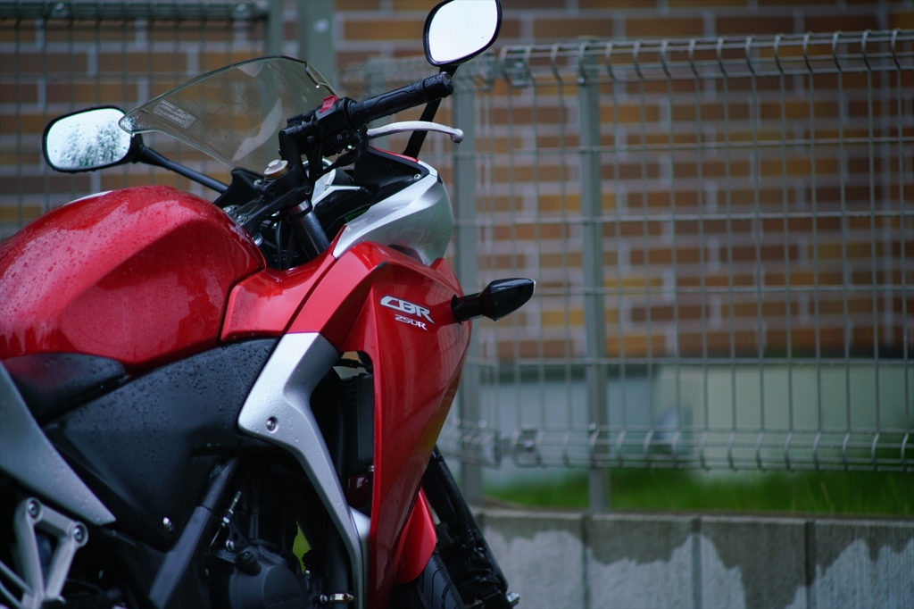 Canon FD135 F2.5 @ α7RⅡ④