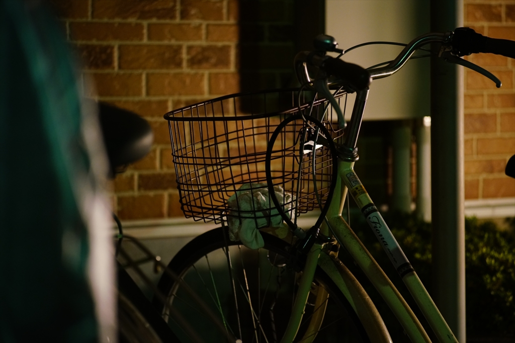 Rollei Sonnar 85mm F2.8③