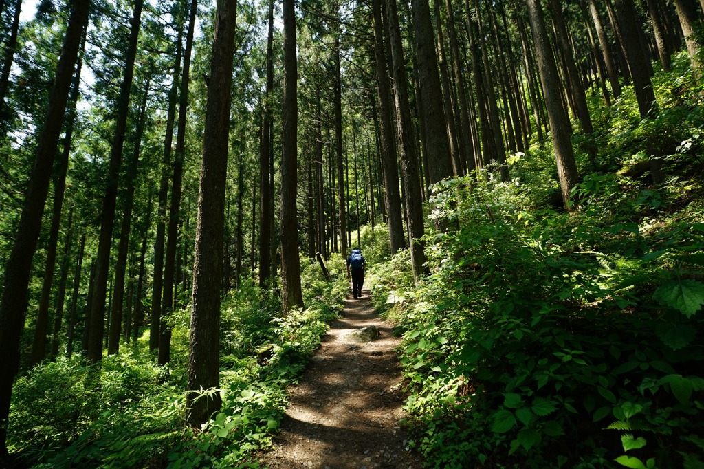 Contax N Vario-Sonnar T* 17-35mm f2.8 ①