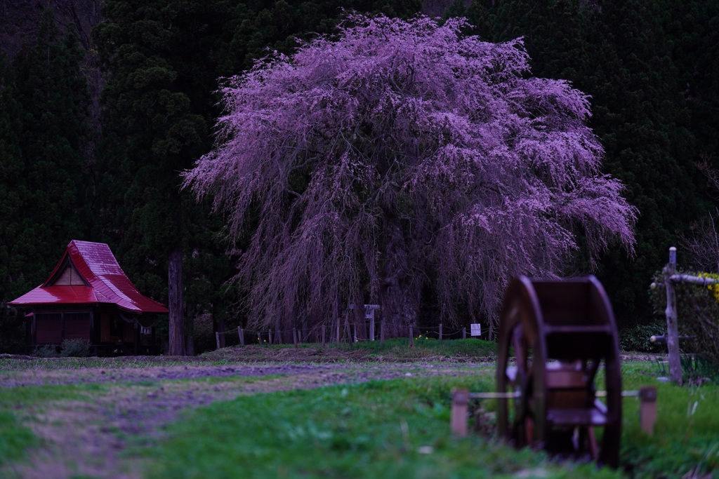 赤塚白山神社