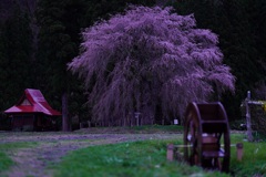 赤塚白山神社
