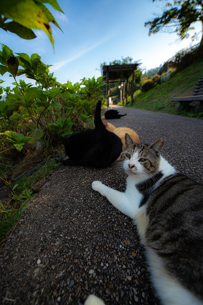 宮ヶ瀬園地①