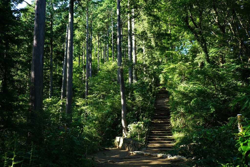高尾山・稲荷山ルート⑥