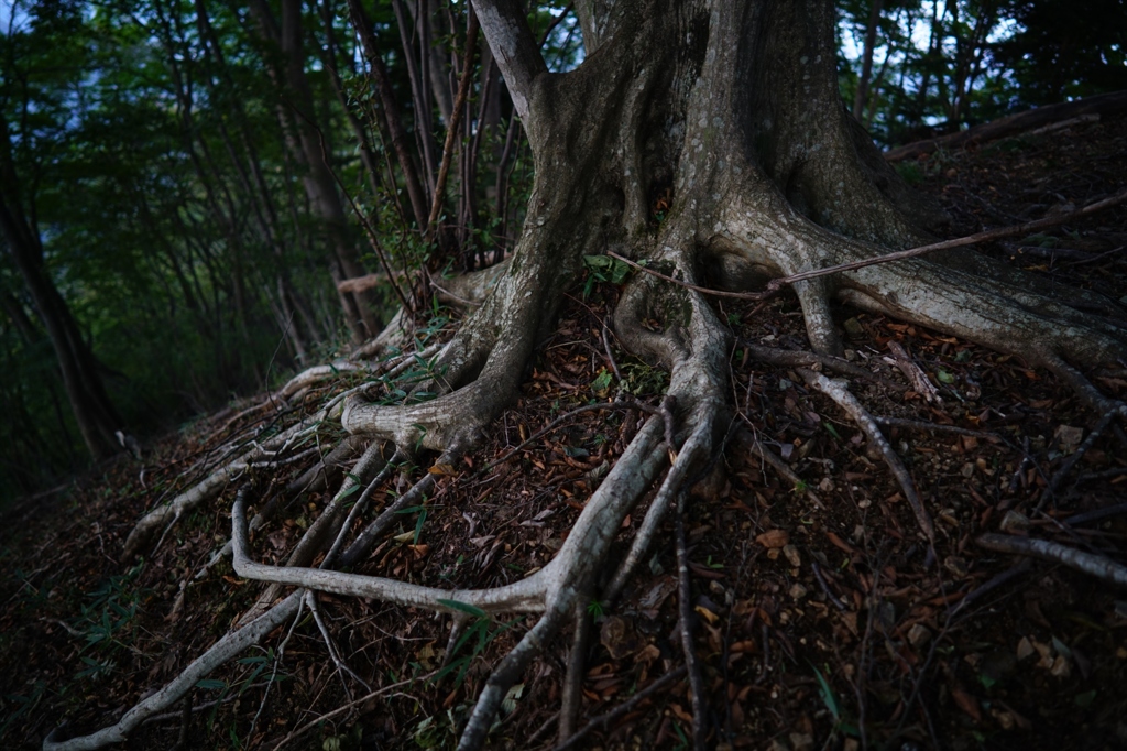 2015.10.8 Batis 2/25③