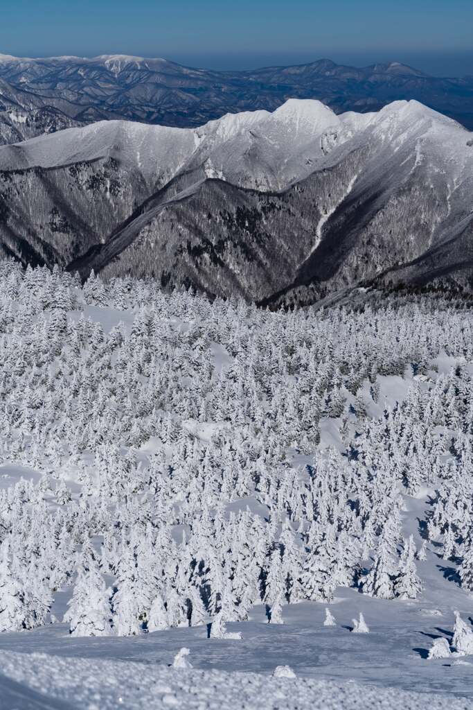 樹氷と脊梁山脈