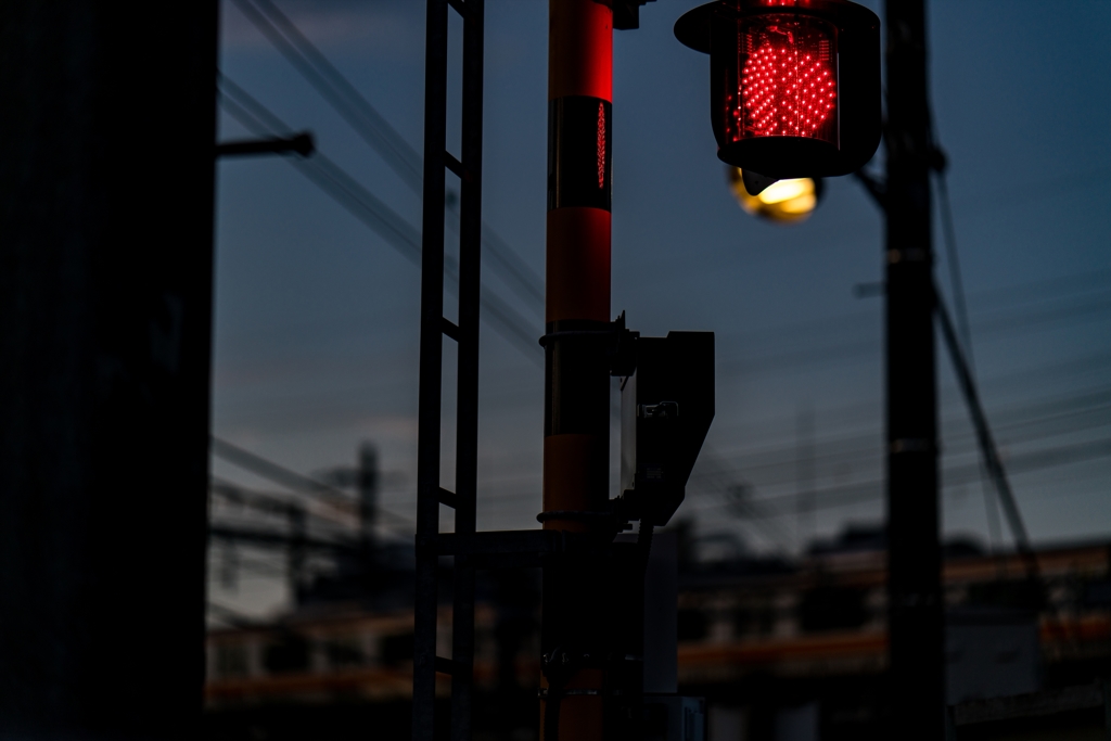 北野③
