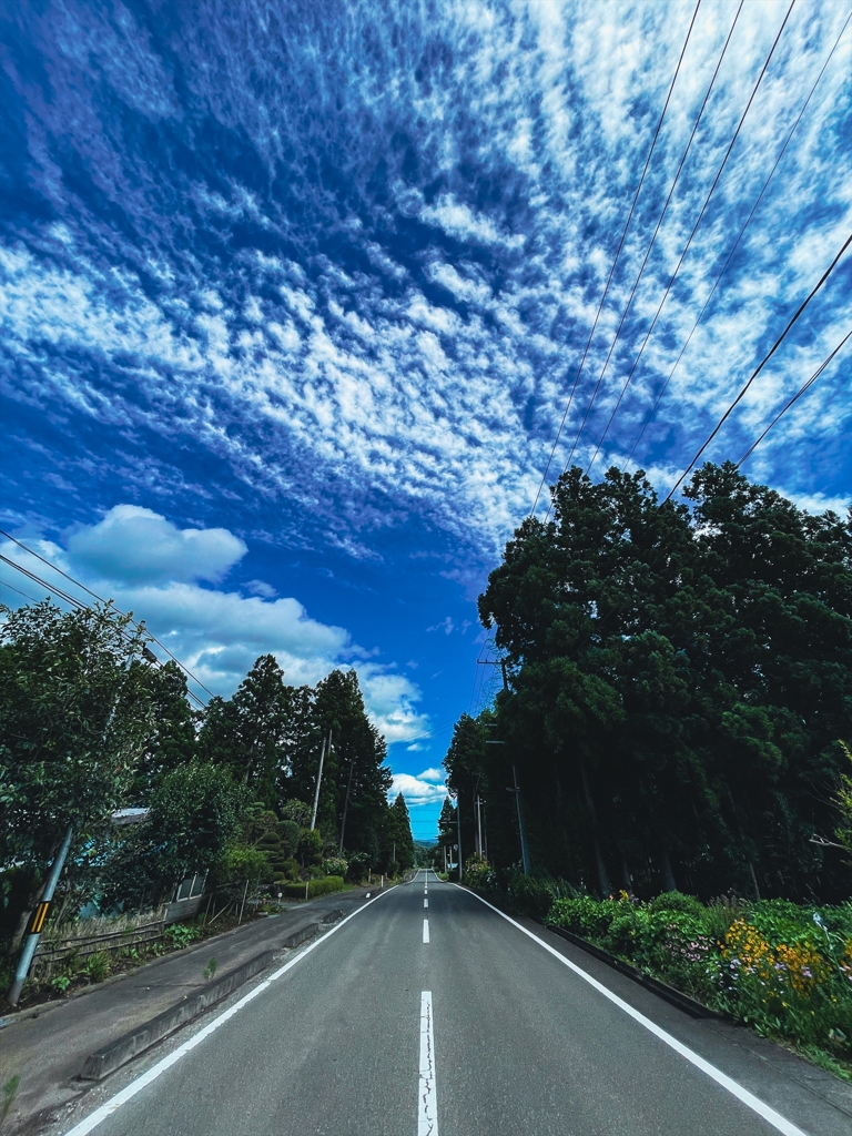 遠刈田・夏②