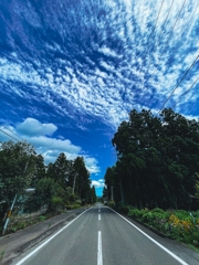 遠刈田・夏②