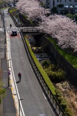 兵衛④