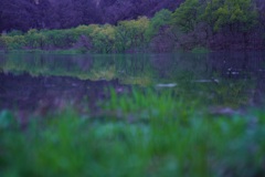 荒雄湖