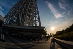 東京スカイツリー③