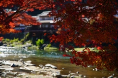 香嵐渓④
