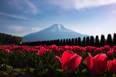 花の都公園①