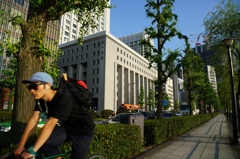 日比谷通り