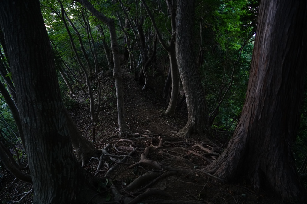 2015.10.8 Batis 2/25④