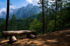 瑞牆山登山道②