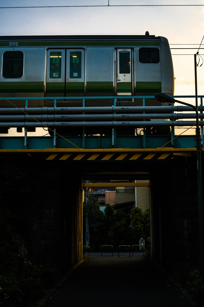 宇津貫緑地③