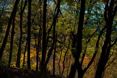 宮ヶ瀬・ダムサイト登山道①